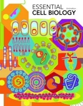 Essential Cell Biology - Bruce Alberts, Dennis Bray, Karen Hopkin, Alexander D Johnson