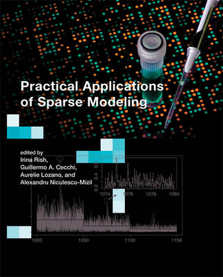 Practical Applications of Sparse Modeling - 