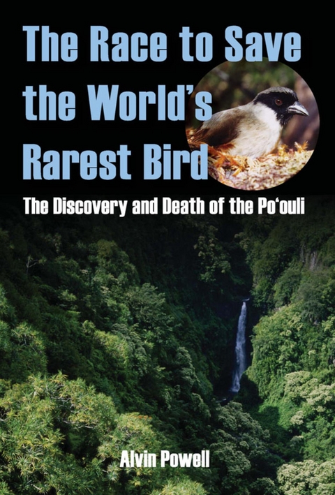 Race to Save the World's Rarest Bird -  Alvin Powell