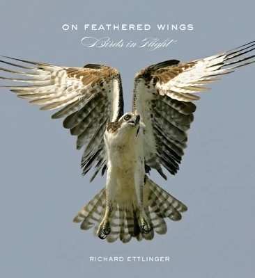 On Feathered Wings - Richard Ettlinger