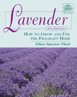 Lavender