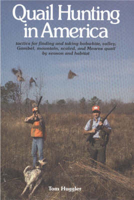 Quail Hunting in America