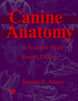 Canine Anatomy