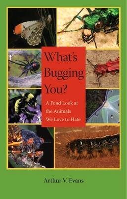 What's Bugging You? - Arthur V. Evans