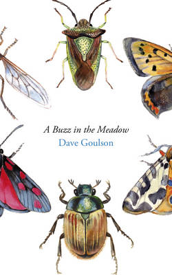 A Buzz in the Meadow - Dave Goulson