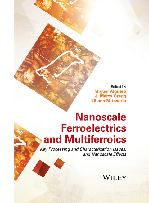 Nanoscale Ferroelectrics and Multiferroics - 