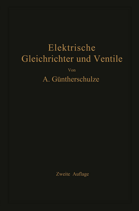 Elektrische Gleichrichter und Ventile - Adolf G&uuml;ntherschulze