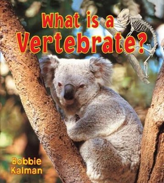 What is a Vertebrate?