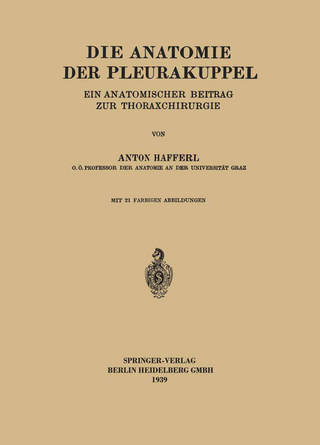 Die Anatomie der Pleurakuppel