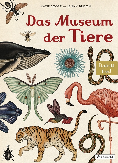 Das Museum der Tiere - Jenny Broom, Katie Scott