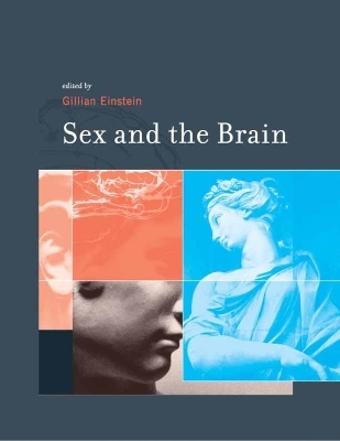 Sex and the Brain - 