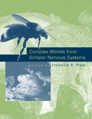 Complex Worlds from Simpler Nervous Systems - 