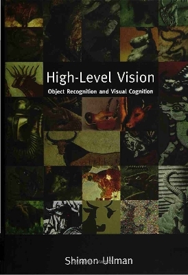 High-Level Vision - Shimon Ullman
