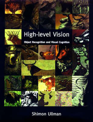 High-Level Vision - Shimon Ullman