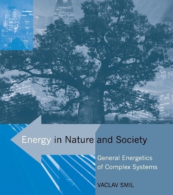 Energy in Nature and Society - Vaclav Smil