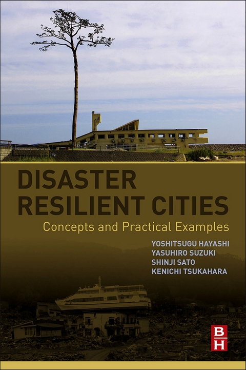 Disaster Resilient Cities -  Yoshitsugu Hayashi,  Shinji Sato,  Yasuhiro Suzuki,  Kenichi Tsukahara