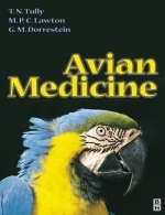 Avian Medicine