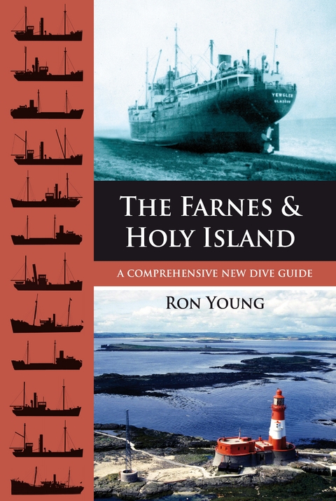 The Farnes and Holy Island - Ron Young