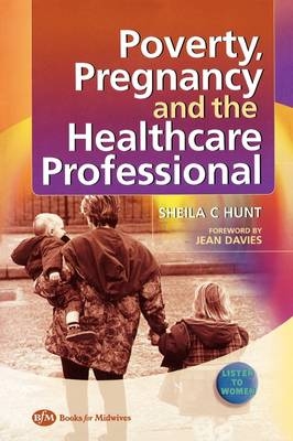 Poverty, Pregnancy and the Healthcare Professional - Sheila C. Hunt