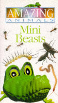 Amazing Animals:  Mini Beasts Video