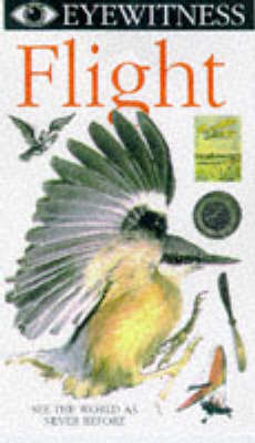 Eyewitness Flight Video