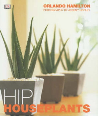 Hip Houseplants