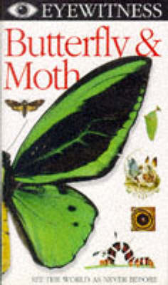 Eyewitness Butterfly & Moth Video