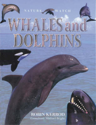 Whales and Dolphins