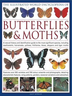 Illustrated World Encyclopedia of Butterflies & Moths