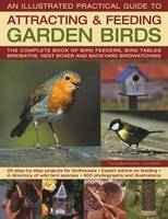 The Illustrated Practical Guide to Birds in the Garden - Jen Green