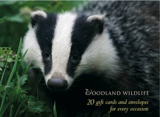 Woodland Wildlife Gift Card Pack