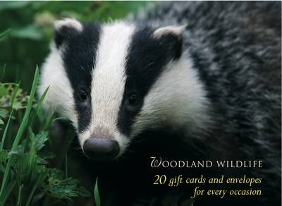 Woodland Wildlife Gift Card Pack - 