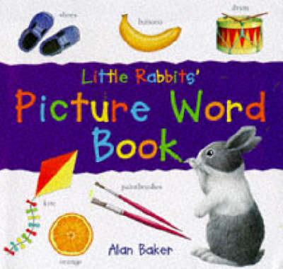 Little Rabbit's Picture Word Book - Alan Baker