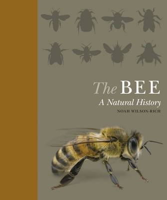 The Bee - Noah Wilson-Rich, Kelly Allin