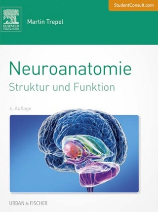 Neuroanatomie
