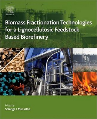 Biomass Fractionation Technologies for a Lignocellulosic Feedstock Based Biorefinery