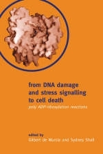 From DNA Damage and Stress Signalling to Cell Death