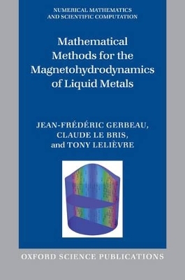 Mathematical Methods for the Magnetohydrodynamics of Liquid Metals