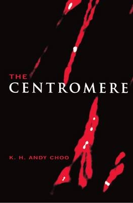 The Centromere - K. H. Andy Choo