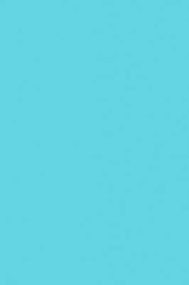 The Theory of the Cost-of-Living Index