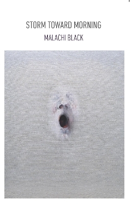 Storm Toward Morning - Malachi Black