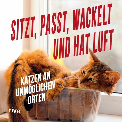 Sitzt, passt, wackelt und hat Luft - 