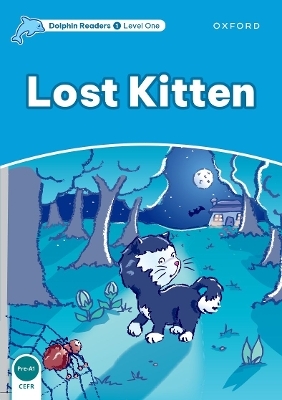 Dolphin Readers: Level 1: Lost Kitten - Di Taylor