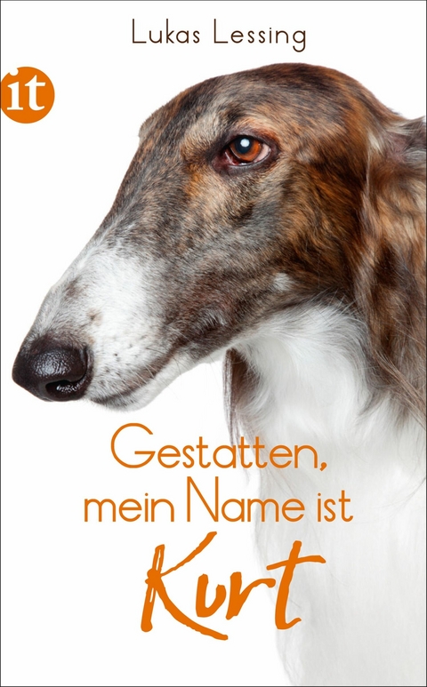 Gestatten, mein Name ist Kurt -  Lukas Lessing