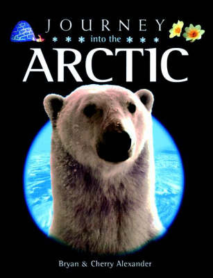 Journey into the Arctic