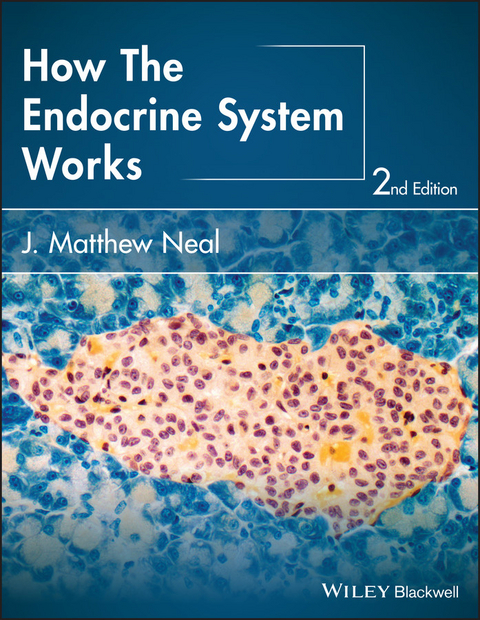 How the Endocrine System Works -  J. Matthew Neal