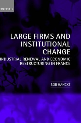 Large Firms and Institutional Change - Bob Hanck&eacute;