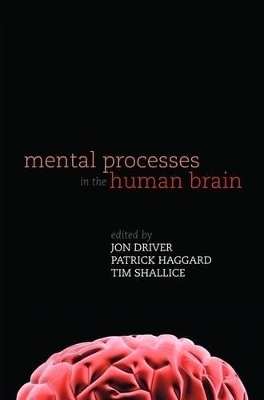Mental Processes in the Human Brain - 