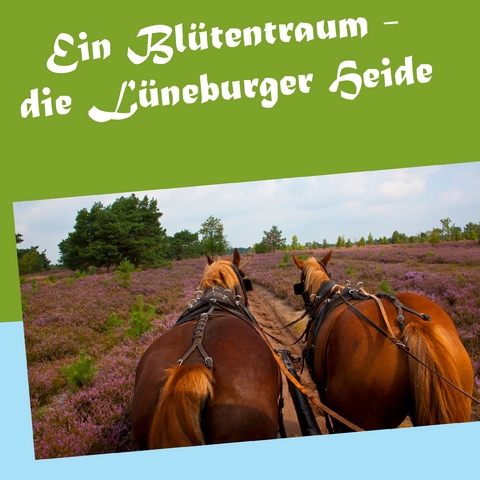 Ein Bl&uuml;tentraum - die L&uuml;neburger Heide - Gerhard K&ouml;hler