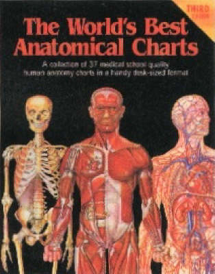The World's Best Anatomical Charts -  Anatomical Chart Company